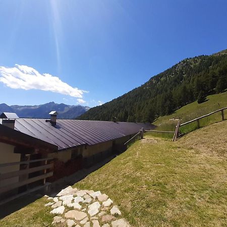 Отель Restor Natura Malga Mondent Пракорно-ди-Рабби Экстерьер фото